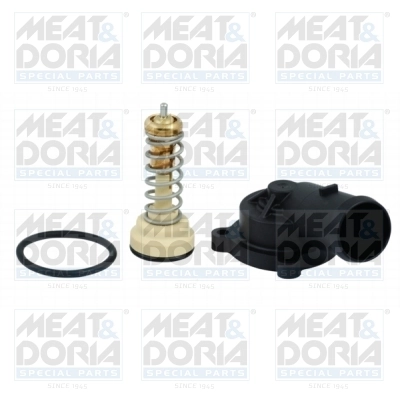 Thermostat, coolant